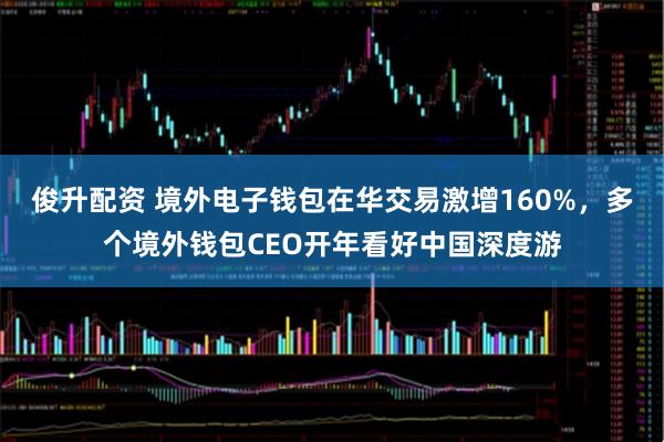 俊升配资 境外电子钱包在华交易激增160%，多个境外钱包CEO开年看好中国深度游