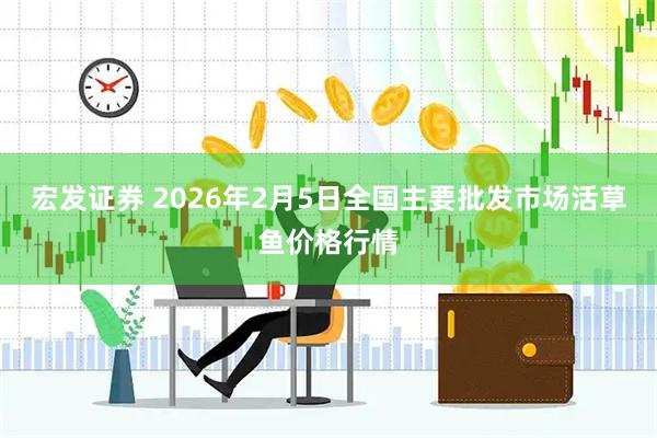 宏发证券 2026年2月5日全国主要批发市场活草鱼价格行情